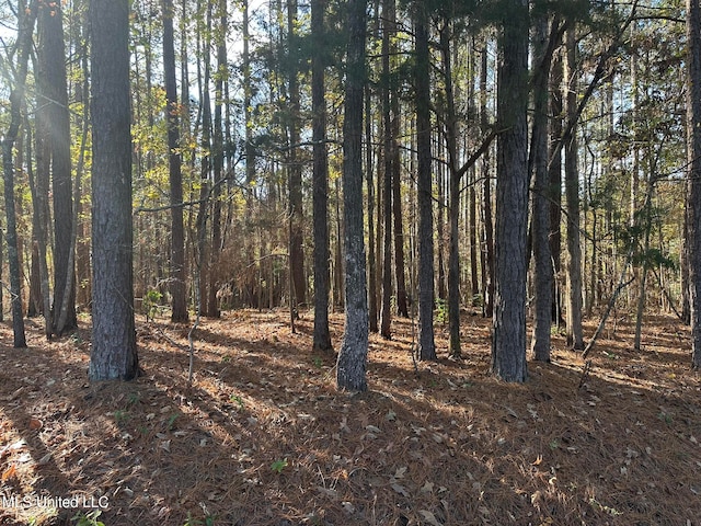 Bones Rd, Florence MS, 39073 land for sale