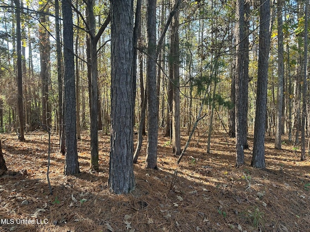 Listing photo 2 for Bones Rd, Florence MS 39073