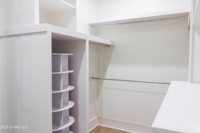 spacious closet with wood-type flooring