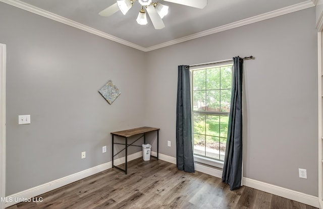 doorway featuring baseboards, a ceiling fan, wood finished floors, and a wealth of natural light