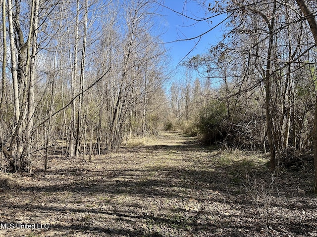 000 Perry Town Rd, Crosby MS, 39633 land for sale