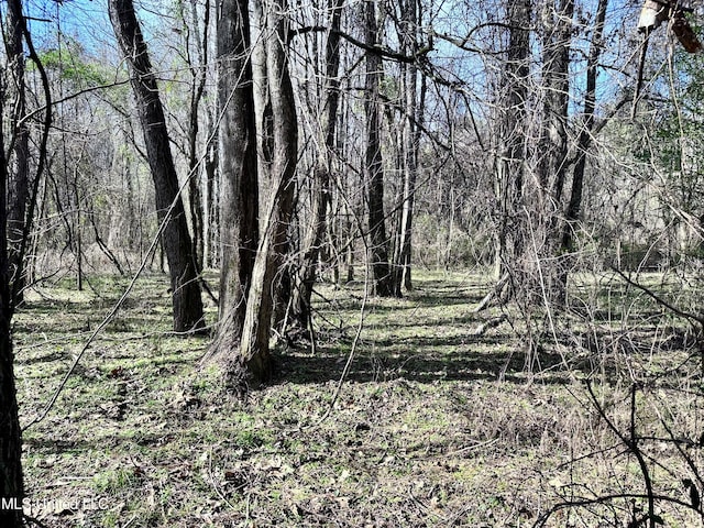 Listing photo 3 for 000 Perry Town Rd, Crosby MS 39633