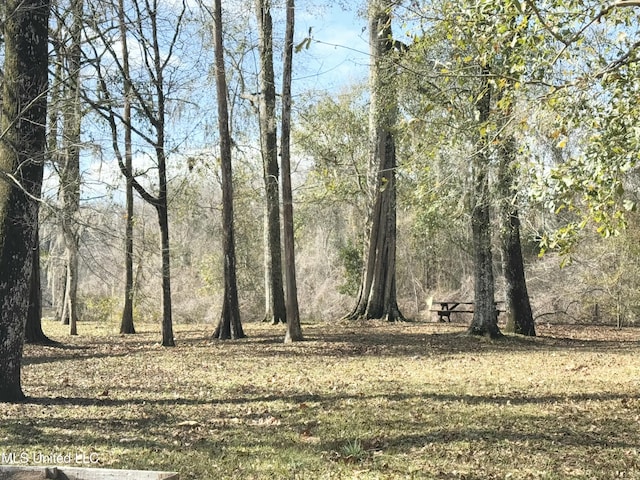 view of landscape