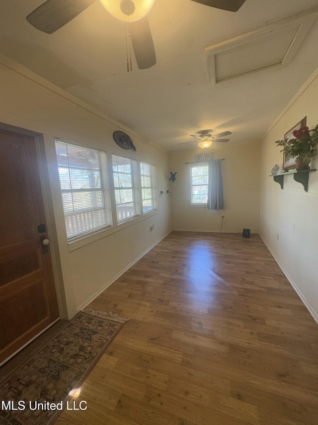 foyer with dark hardwood / wood-style floors, ceiling fan, and crown molding