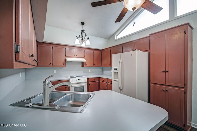 kitchen with white appliances, sink, ceiling fan with notable chandelier, vaulted ceiling, and pendant lighting