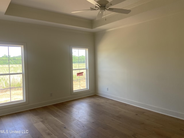 422 Baleigh Way, Canton, MS 39046 - spare room featuring a raised ceiling, plenty of natural light, dark wood-style flooring, and baseboards