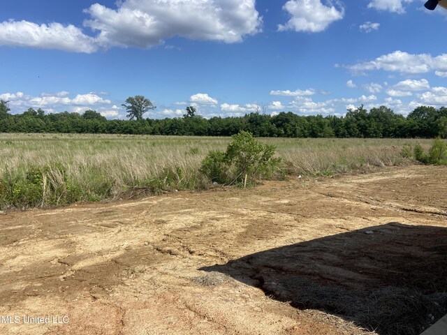 422 Baleigh Way, Canton, MS 39046 - view of undeveloped land with rural landscape