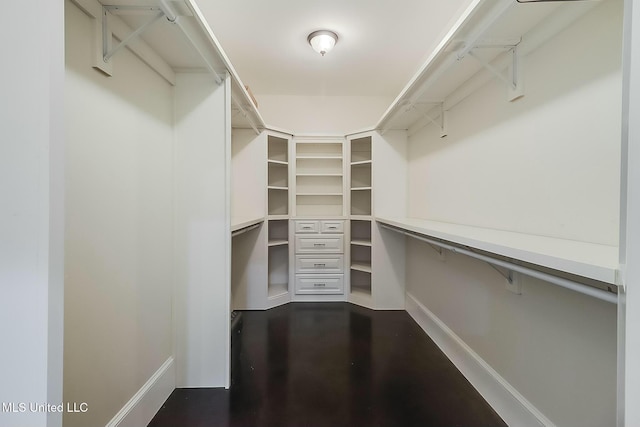 8521 Julia Dr, Vancleave, MS 39565 - view of spacious closet