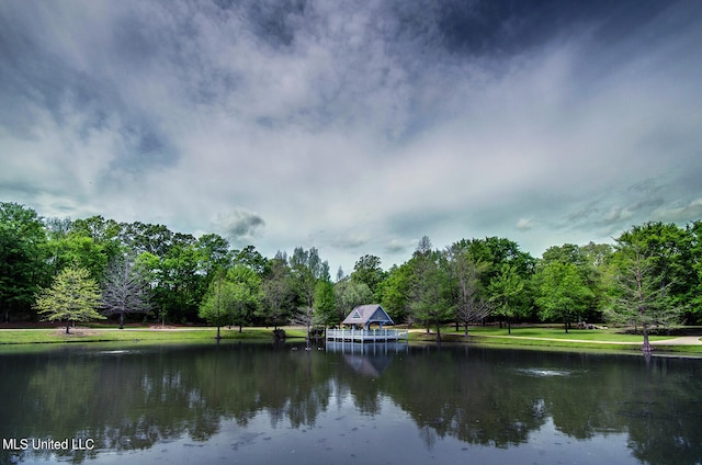 property view of water