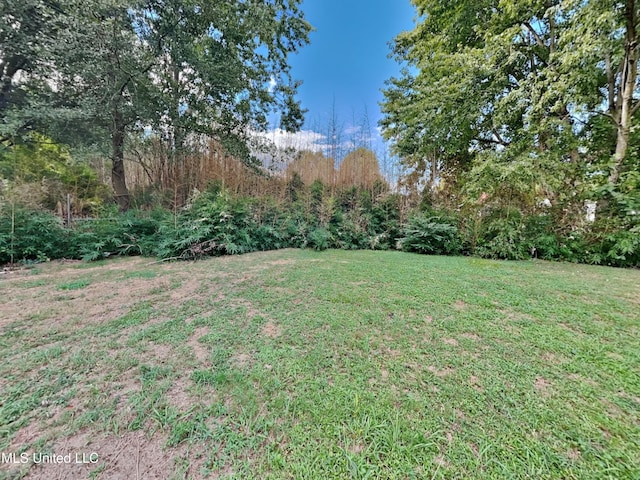 6525 Yorkshire Rd, Horn Lake, MS 38637 - view of green lawn
