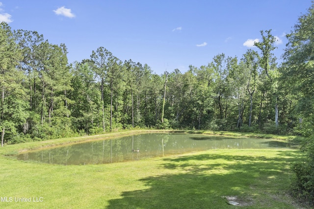 view of yard featuring a view of trees and a water view