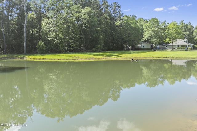 property view of water