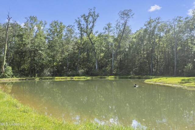 view of water feature with a wooded view