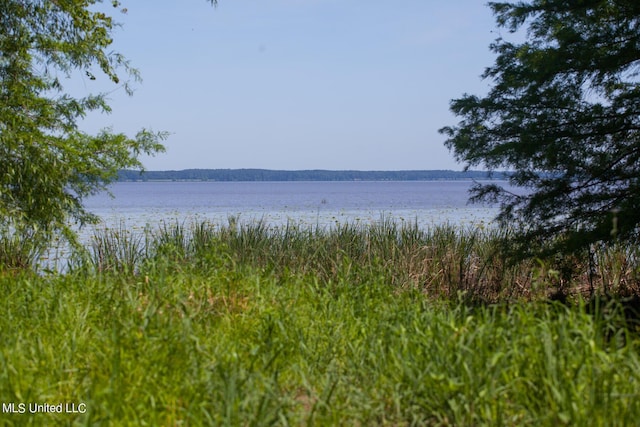 170 Bald Eagle Dr, Brandon, MS 39047