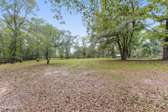 1160 Lucas Rd, Lucedale, MS 39452 - view of yard