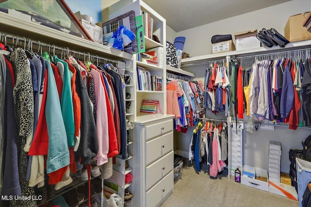 walk in closet featuring carpet