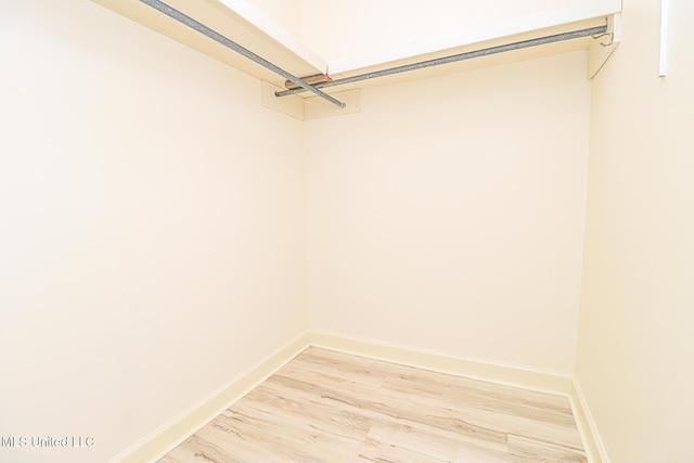 spacious closet with light wood finished floors