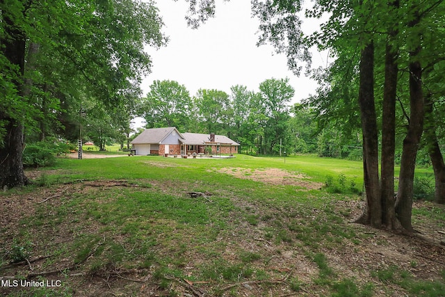 view of green lawn