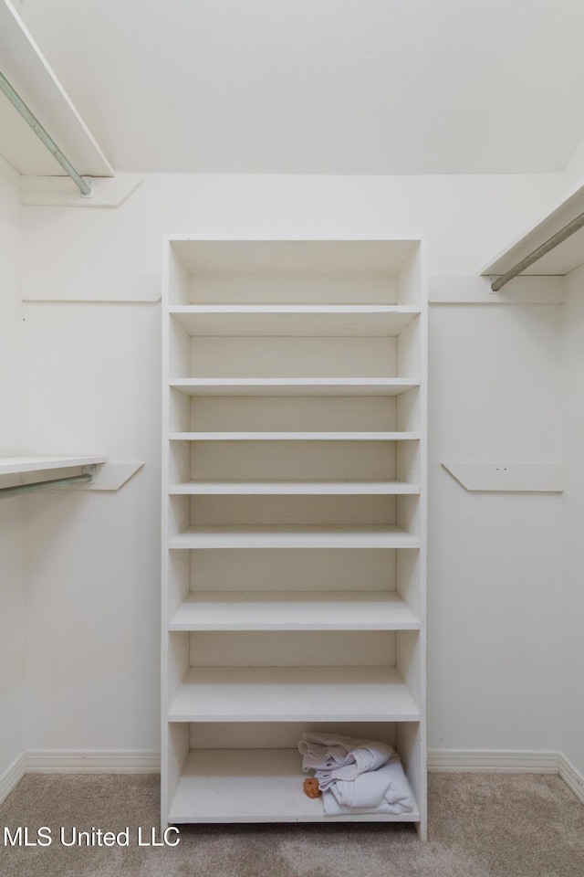 walk in closet featuring carpet