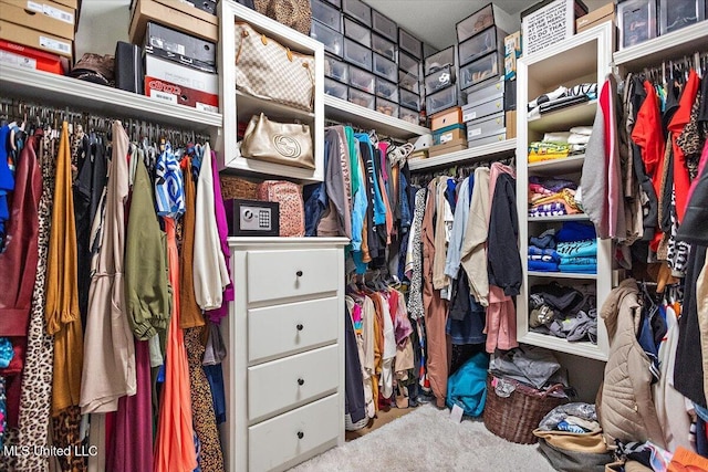 spacious closet featuring carpet flooring