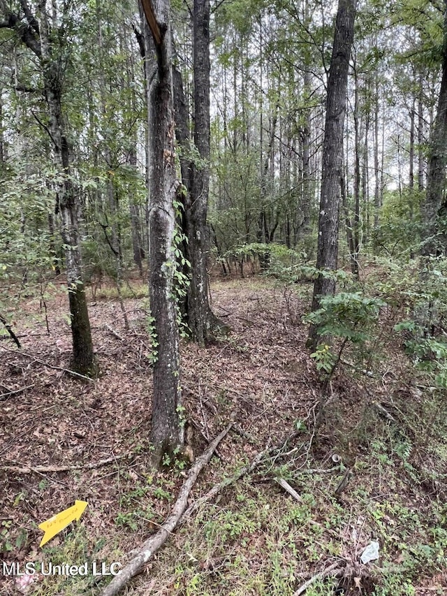 00 Dunn Rd, Terry, MS 39170