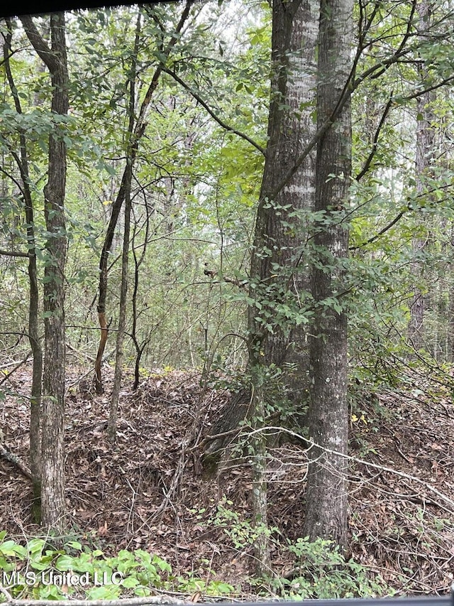 00 Dunn Rd, Terry, MS 39170
