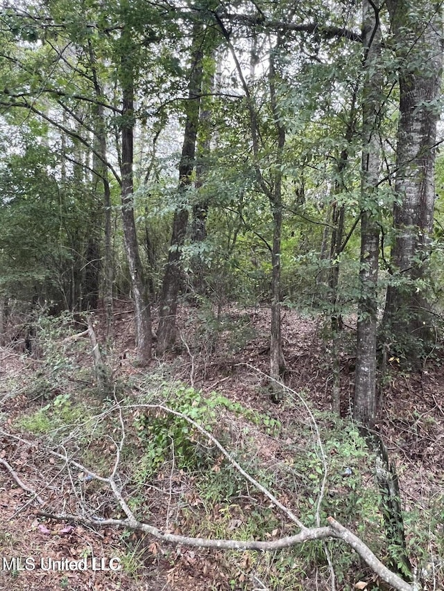 00 Dunn Rd, Terry, MS 39170