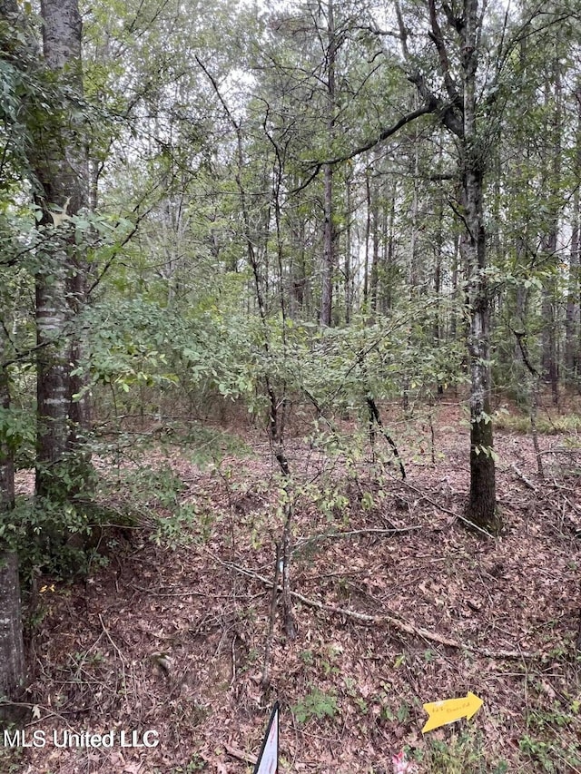 00 Dunn Rd, Terry, MS 39170