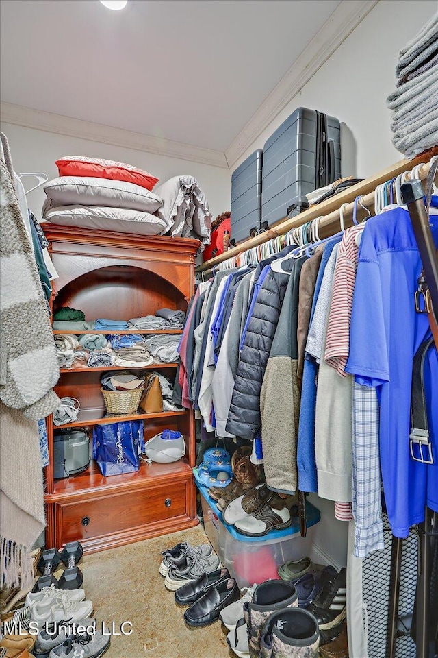 spacious closet with carpet floors