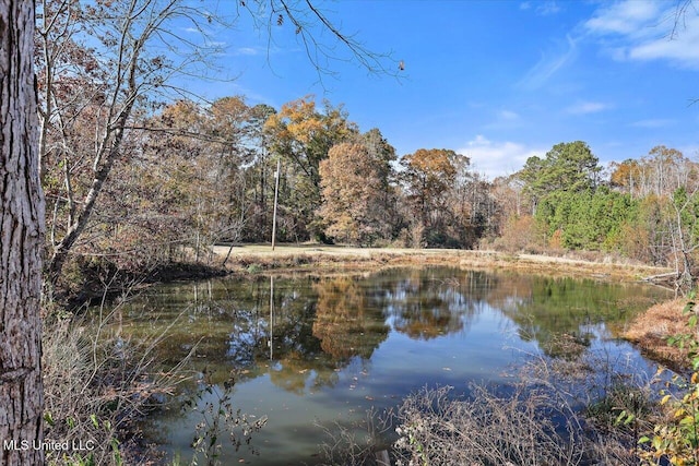 view of water feature with a forest view