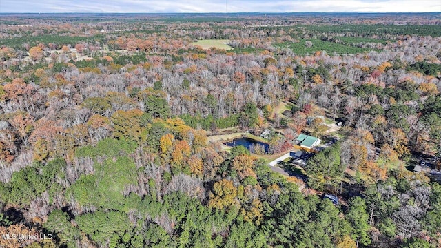 bird's eye view with a wooded view