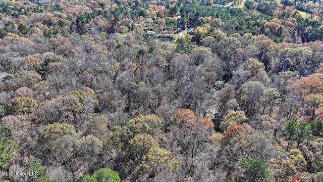 bird's eye view with a forest view