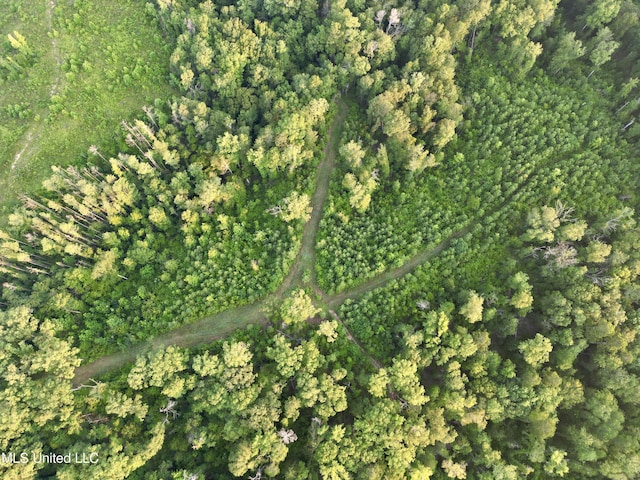 Dentville Rd, Hazlehurst, MS 39083
