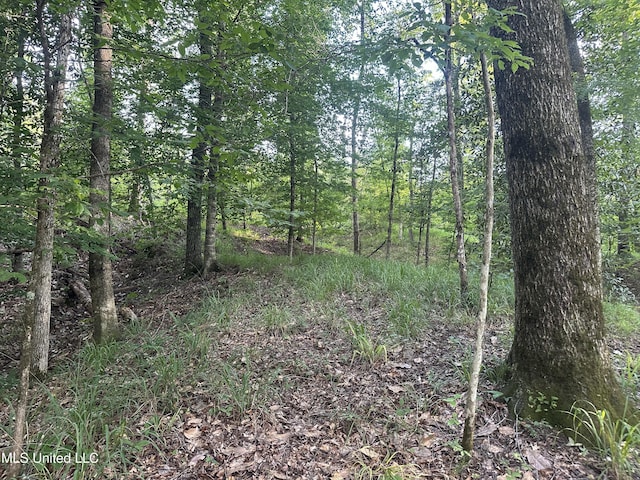 Dentville Rd, Hazlehurst, MS 39083