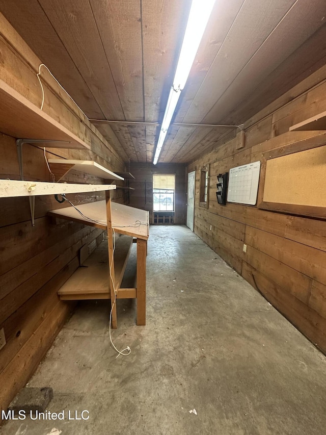 basement with wood walls