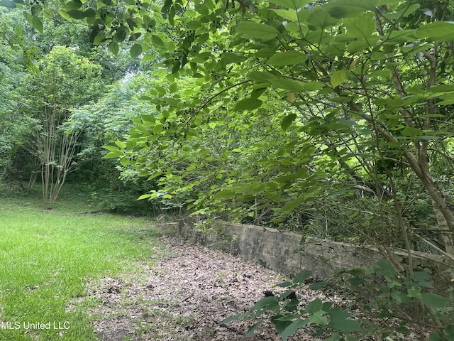view of nature
