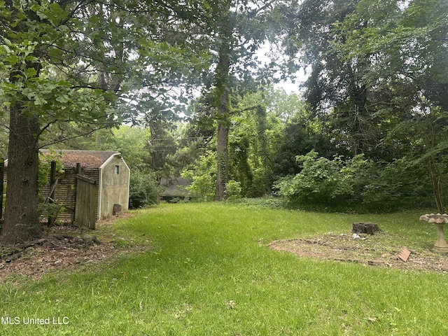 view of green lawn featuring a storage shed and an outdoor structure