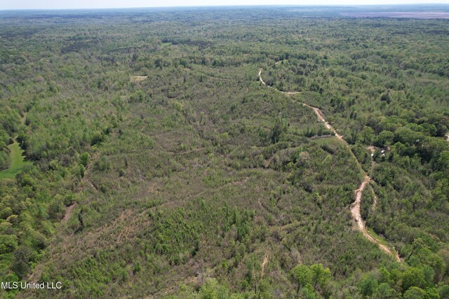 Holly Grove Meeks Rd, Cruger, MS 38924