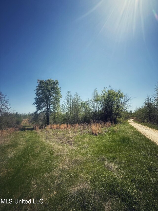 Holly Grove Meeks Rd, Cruger, MS 38924