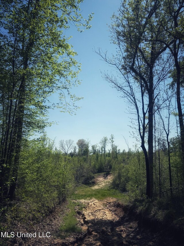 Holly Grove Meeks Rd, Cruger, MS 38924