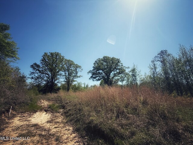 Holly Grove Meeks Rd, Cruger, MS 38924