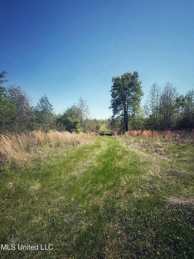 Holly Grove Meeks Rd, Cruger, MS 38924