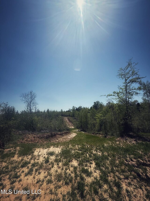 Holly Grove Meeks Rd, Cruger, MS 38924