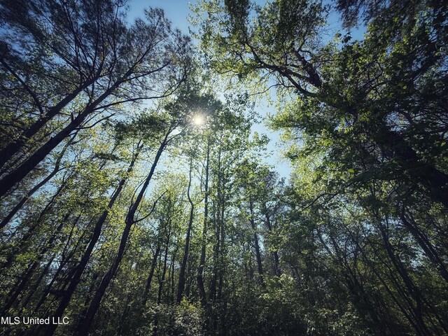 Holly Grove Meeks Rd, Cruger, MS 38924