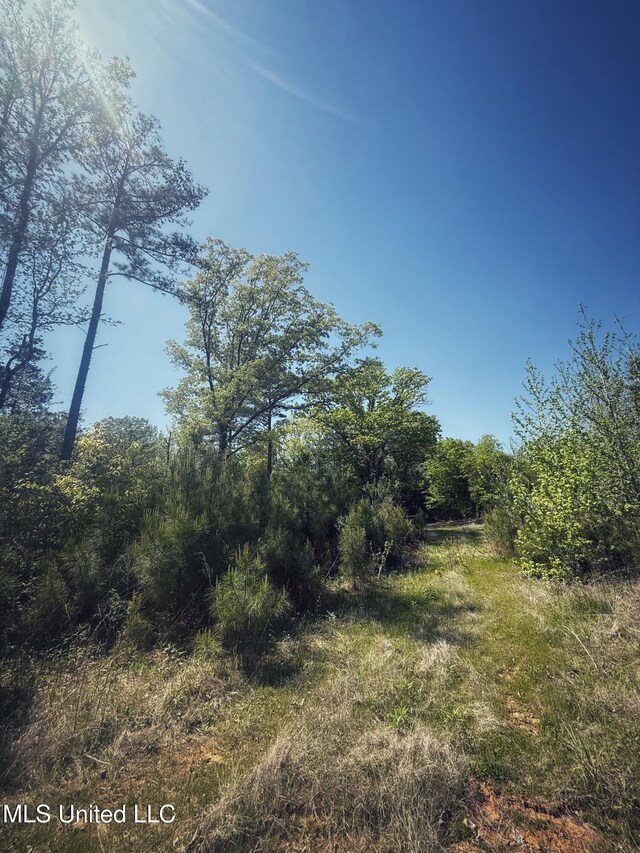 Holly Grove Meeks Rd, Cruger, MS 38924