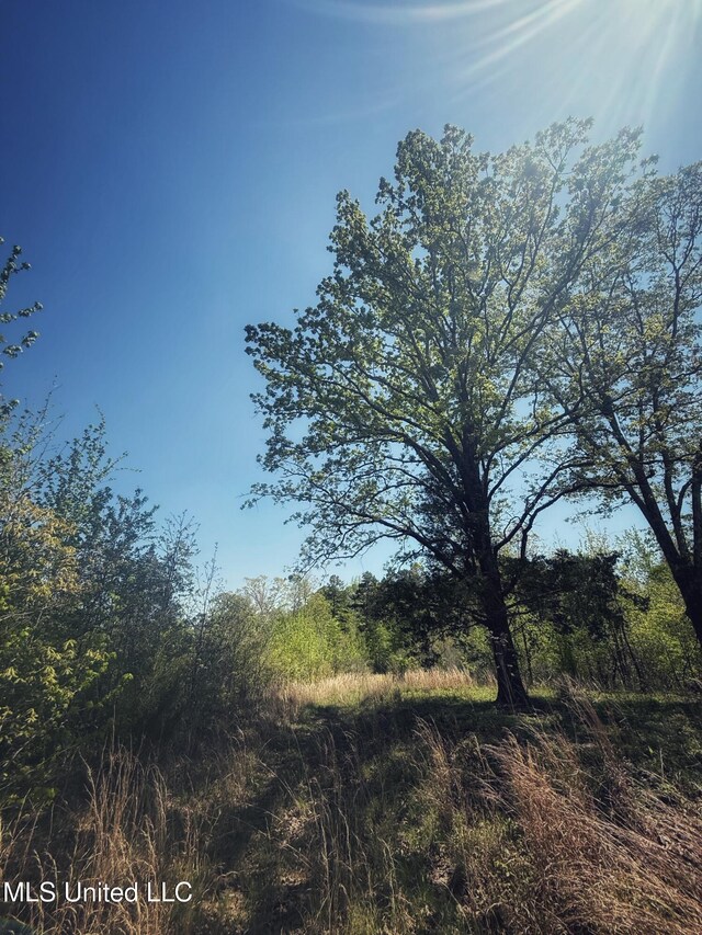 Holly Grove Meeks Rd, Cruger, MS 38924