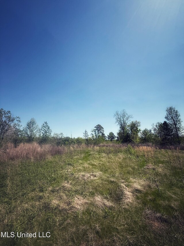 Holly Grove Meeks Rd, Cruger, MS 38924