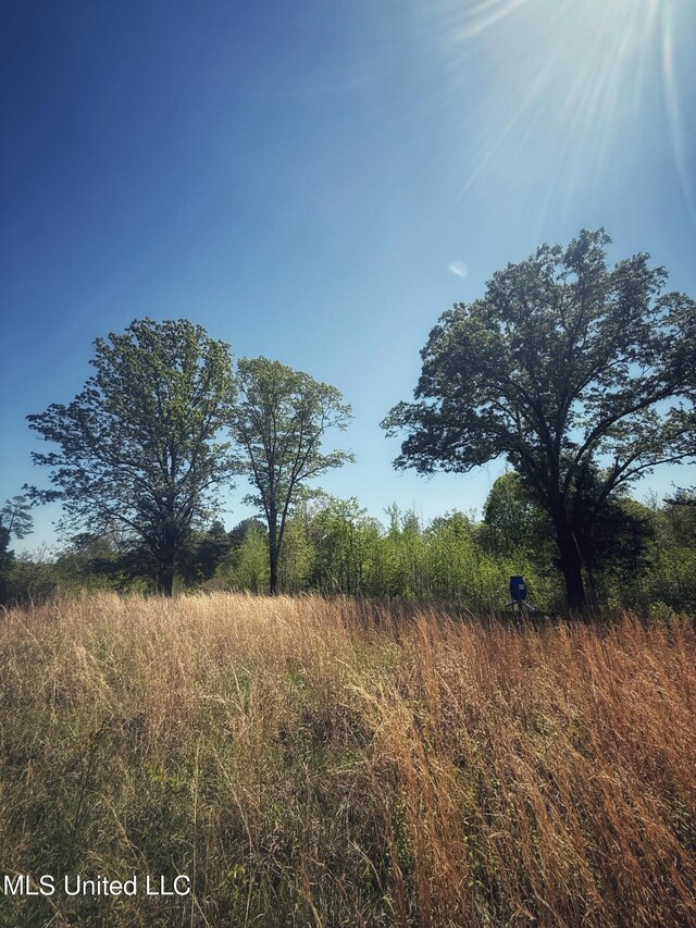 Holly Grove Meeks Rd, Cruger, MS 38924