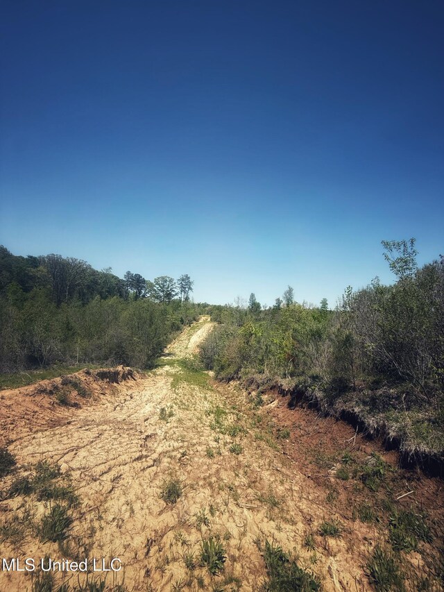 Holly Grove Meeks Rd, Cruger, MS 38924