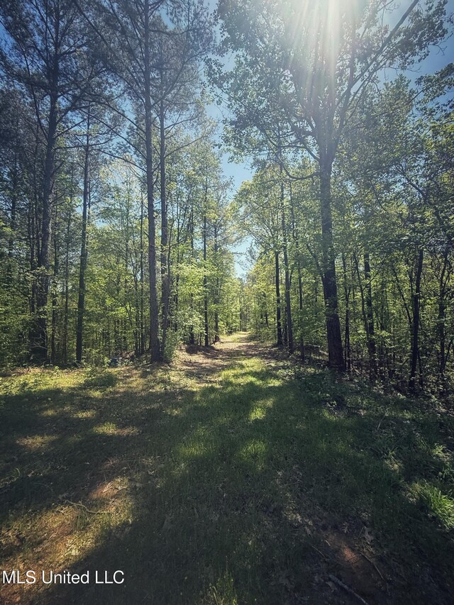 Holly Grove Meeks Rd, Cruger, MS 38924